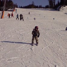 Dom l&auml;r sej fort . Foto: Joacim Runfors. &Aring;kare: Elena.