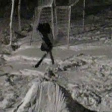 jag. Foto: robin magnusson. &Aring;kare: daniel viklund.