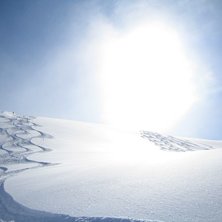Farsan l&auml;gger upp ett sp&aring;r. Foto: Magnus Bergelin.