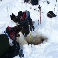 I f-ing love fika man....