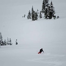 Robsa l&auml;gger f&ouml;rsta sp&aring;ren p&aring; ett av f&auml;lten n. Foto: Ludwig Andersson. &Aring;kare: Robin Sandberg.
