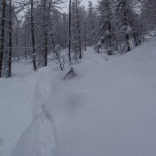 Foto: Anton Lif. &Aring;kare: Alex.