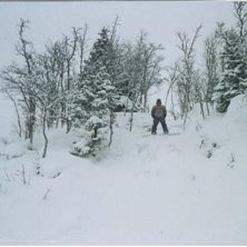 Foto: Eric Ohlson. &Aring;kare: Daniel falck.