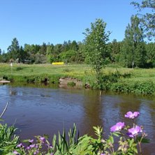 Ett av h&aring;len (nr5) p&aring; min bana som jag snart kan. Foto: joakim wiberg.