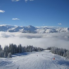 Foto: Micael T&ouml;rnblom.