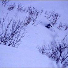 Foto: Rikard Andersson. &Aring;kare: Daryl Treadway.