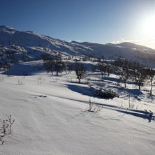 Uv&aelig;ret er over! Vi fikk 15cm v&aring;rsn&oslash; ig&aring;r.  
.