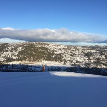 Gautefall i dag ⛷????☀️
Velkommen til en sol.
