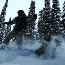 Skog&aring;king. . Foto: Christine Lindenger. &Aring;kare: Eric Ohlson.