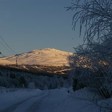 Betydligt b&auml;ttre start p&aring; vintern j&auml;mf&ouml;relsevi. Foto: Hans-Olof Lundgren.