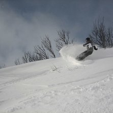 Kittel ruvar p&aring; m&aring;nga fina &aring;k!. Foto: Tobias Rydberg. &Aring;kare: Elin Nordh.