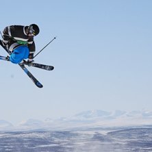 Bluebird i parken!. Foto: Acke vig. &Aring;kare: Linus Thornberg.