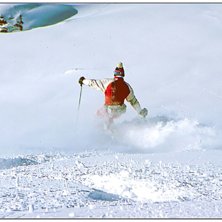 Foto: (c) 2006 Stefan Bogren. &Aring;kare: Anders Mattsson.