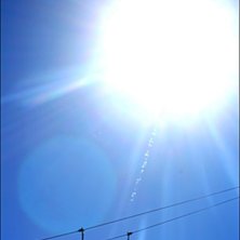 Foto: Sanna Carlsson.