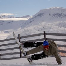 Fina f&ouml;rh&aring;llanden, ca 10cm nysn&ouml;. . Foto: August Sandqvist. &Aring;kare: Joel &amp;quot;Jarl&amp;quot; Stenvall.
