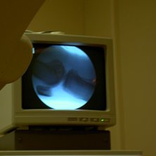 Foto: Jan Pettersson. &Aring;kare: Jan Pettersson.