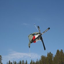 Mutegrab. Foto: MAartin Noren. &Aring;kare: Mattias.