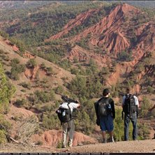 Foto: Sterling Lorence.