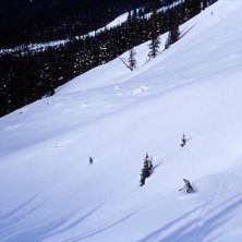 Foto: Peter Sch&ouml;n. &Aring;kare: Andrew.