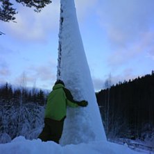 I&amp;#039;m the treehugger fofan . Foto: malin friberg. &Aring;kare: jonathan jansson.
