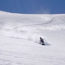 Puder i slutet av april!. Foto: Jocke. &Aring;kare: Daniel Karlsson.