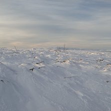 Foto: Stefan Johansson.