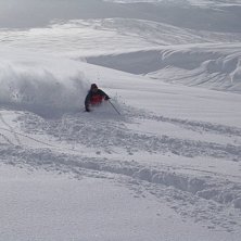 Foto: Malin. &Aring;kare: Erik Stencrantz.