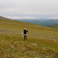 Sov p&aring; fj&auml;llet och vandrade sen vidare. Foto: H&aring;kan Alexandersson. &Aring;kare: Linn Alexandersson.