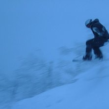 sjysst hopp som bildats p&aring; naturliga s&auml;ttet. Foto: Roger Svahn. &Aring;kare: Mattias Svahn.