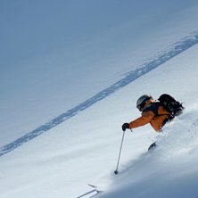 Foto: simon ricklin. &Aring;kare: spider.