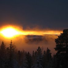 Foto: Fredrik Malmsten.