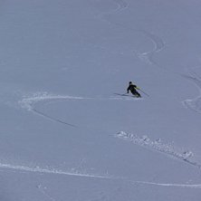 Foto: short dutch. &Aring;kare: arvid larsson.