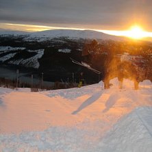 HEJ. Foto: Johan Sj&ouml;gren. &Aring;kare: Robin Saletti.