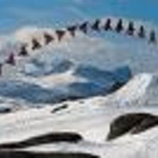 daniel bodin i riksgr&auml;nsen extrem sn&ouml;skoter och . Foto: peter grimborg. &Aring;kare: daniel bodin.