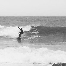 Foto: Jesper Edvinsson. &Aring;kare: snaken.