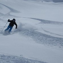Da var s&auml;songen igang. Ringrostig sm&ouml;rakning... Foto: Katerina A. &Aring;kare: Johan A.