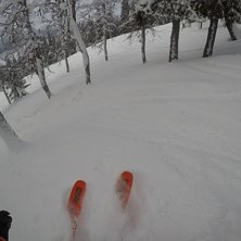 Salomon QST 106 Foto