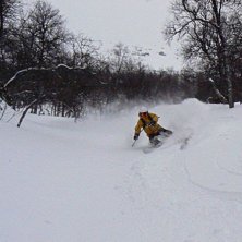 En av b&auml;ckravinerna, Sjukt mkt bra sn&ouml;, bara att. Foto: Stefan&amp;quot;Felix&amp;quot; Vikberg. &Aring;kare: Janne Vikberg.