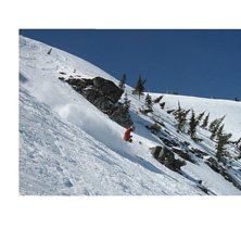 Foto: Johanna Bech. &Aring;kare: Joakim Sch&auml;rer &Oslash;sthus.