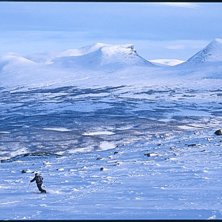 Japp, det &auml;r lapporten i fj&auml;rran.... Foto: Tomas Ahlberg. &Aring;kare: Anders Lundgren.