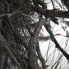 Foto: Daniel R&ouml;nnb&auml;ck.