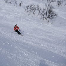 Foto: Sara Farhoudi. &Aring;kare: Ida Edelman.