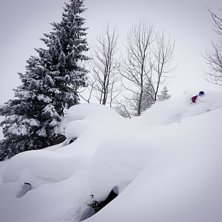 @Beppo_91 hittar ocks&aring; puder i skogen.
www.mathi.