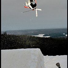 Sw 5 Rev Tail. Foto: Andreas Timf&auml;lt (SwedenProPhoto). &Aring;kare: Jacob Gustafsson.