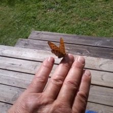 Foto: ian Archibald.