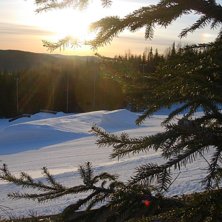 Lilla kicken. Foto: Kalle Hansols. &Aring;kare: Kalle Hansols.