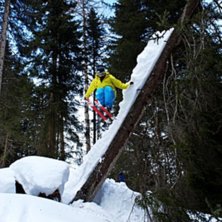 Ett kul tr&auml;d!. Foto: Arvid Larsson. &Aring;kare: Oscar Lagn&eacute;us.