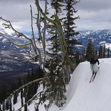 Foto: John Hallgren. &Aring;kare: Nils Hallgren.