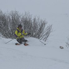 Adam tar n&aring;gra goa sv&auml;ngar i lite puder.