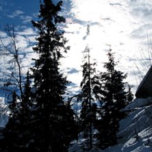 Foto: Oskar Karnblad. &Aring;kare: ett tr&auml;d....